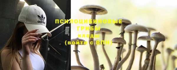 mdpv Белокуриха