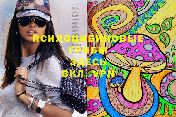mdpv Белокуриха