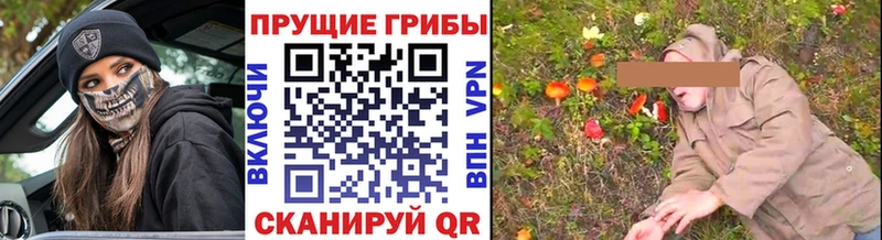 Галлюциногенные грибы Magic Shrooms  Вольск 
